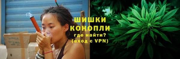 спиды Лиски