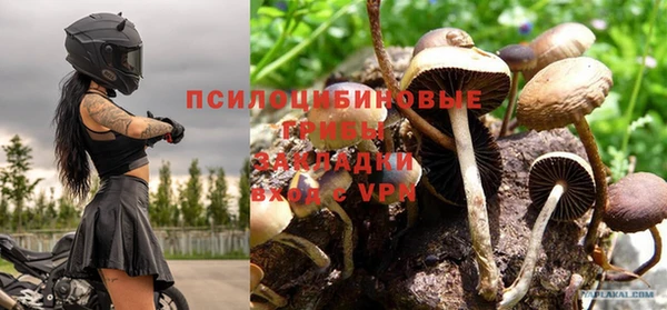 каннабис Майский