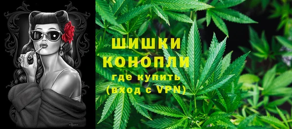 спиды Лиски