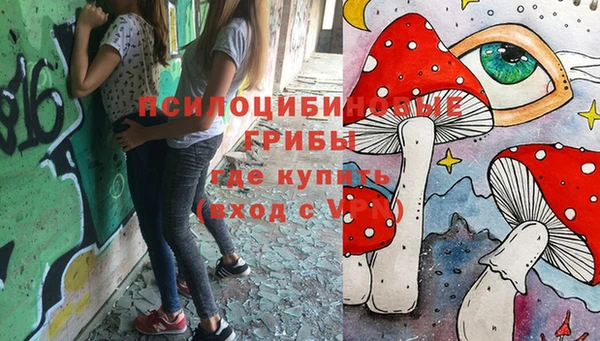 тгк Липки