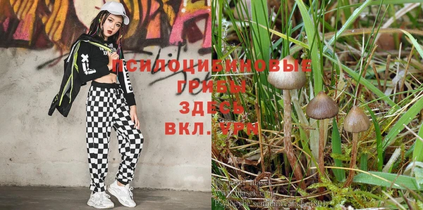 экстази Лихославль