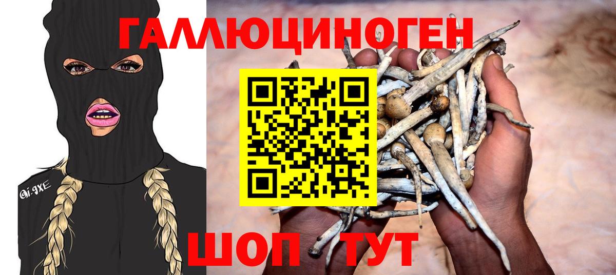 Псилоцибиновые грибы прущие грибы Томск